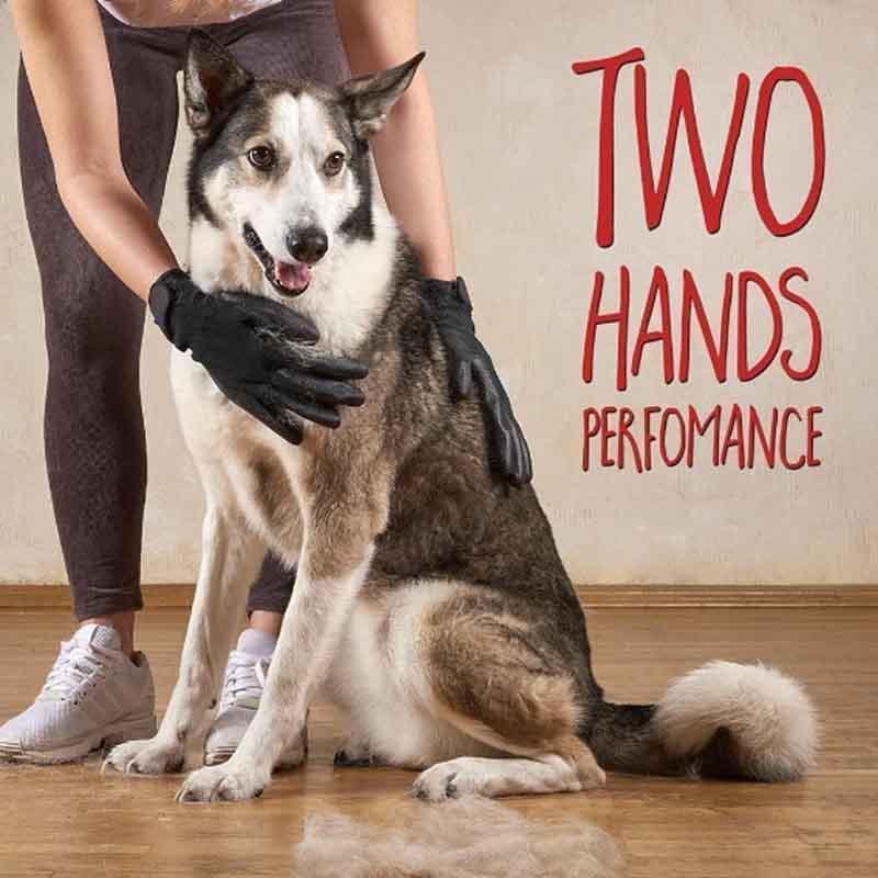 Gloves For Cats, Dogs & Horses - ( 1 pair )