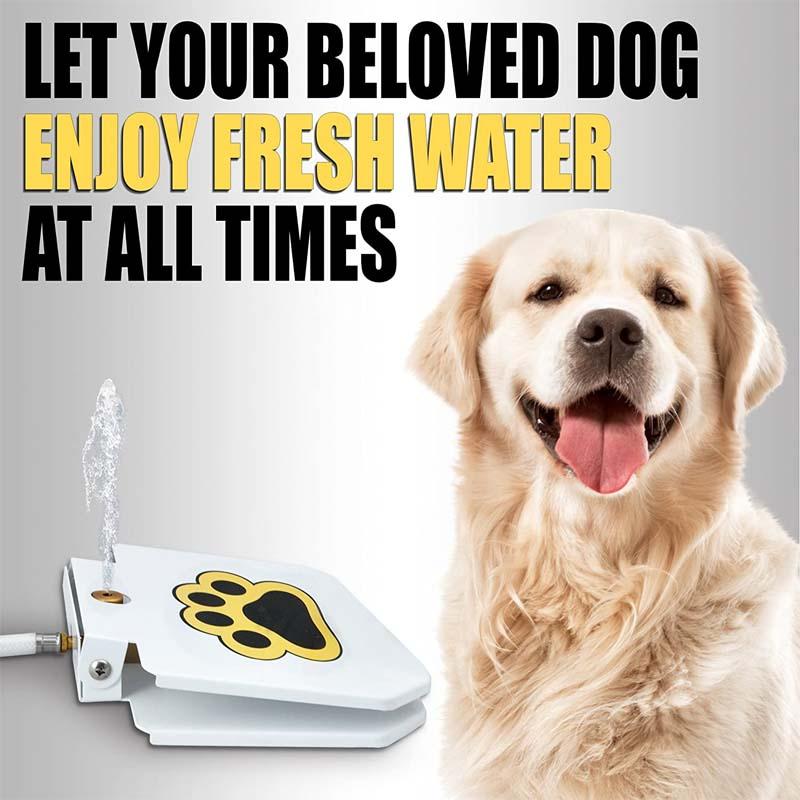 Dog outdoor water dispenser